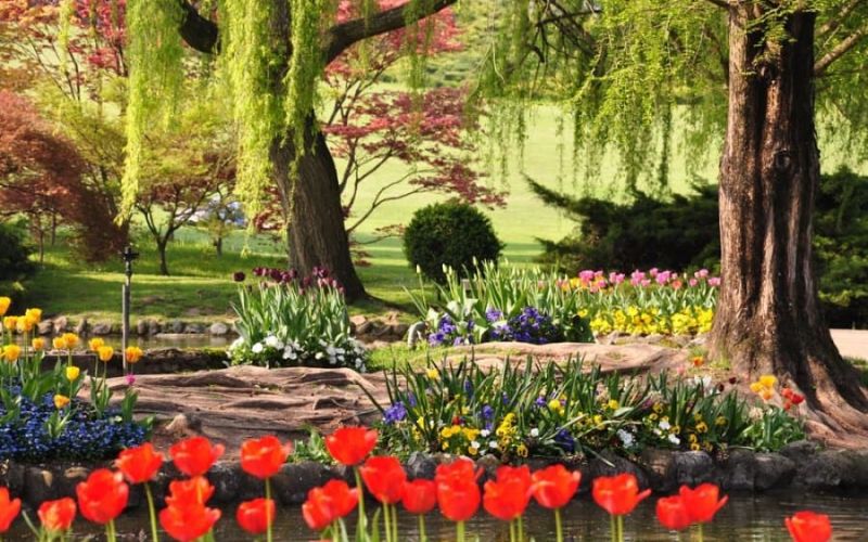 Parco Giardino Sigurtà Valeggio sul Mincio