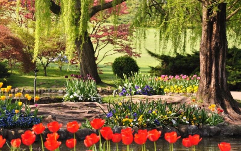 Parco Giardino Sigurtà Valeggio sul Mincio